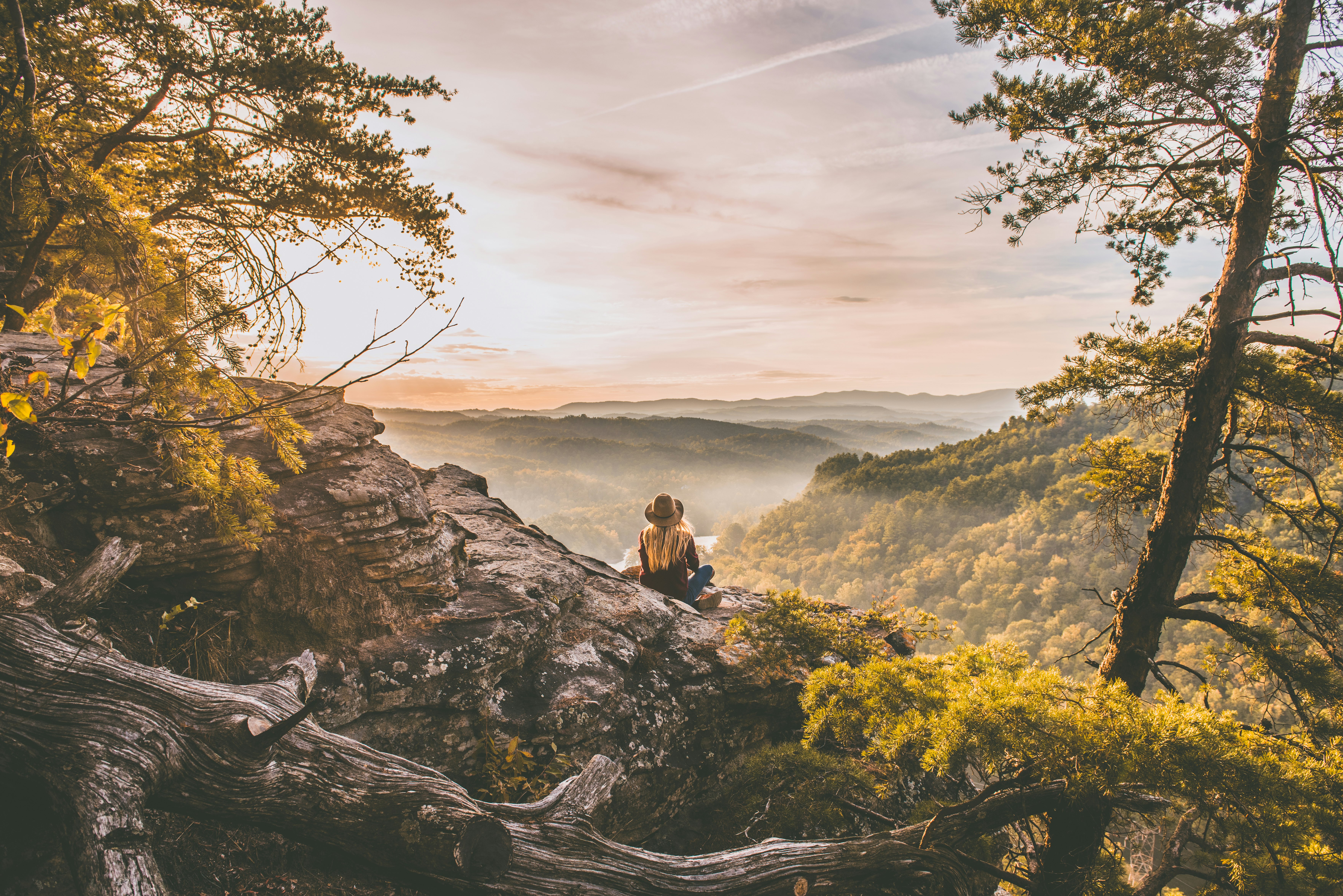 person standing on cliff near tree on mountain